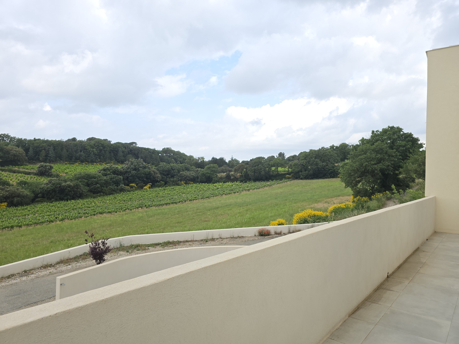 Image_, Villa, Châteauneuf-du-Pape, ref :difp 01