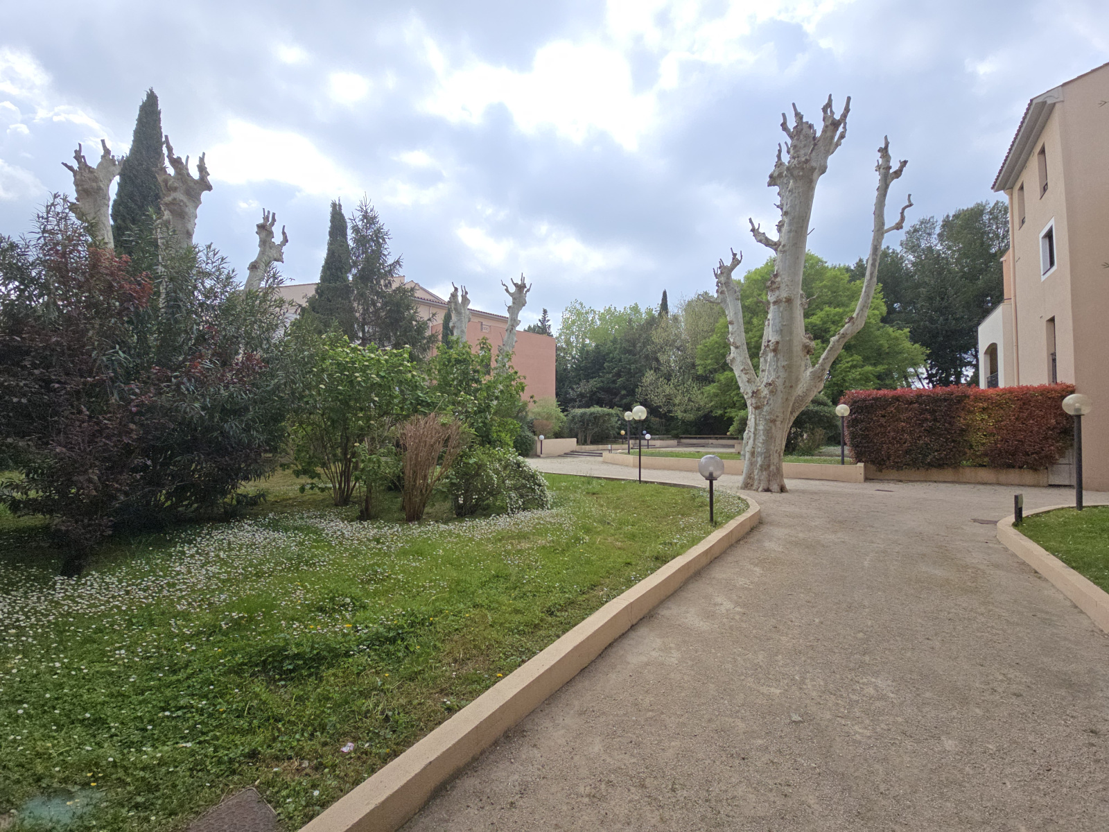 Image_, Appartement, Avignon, ref :195/25